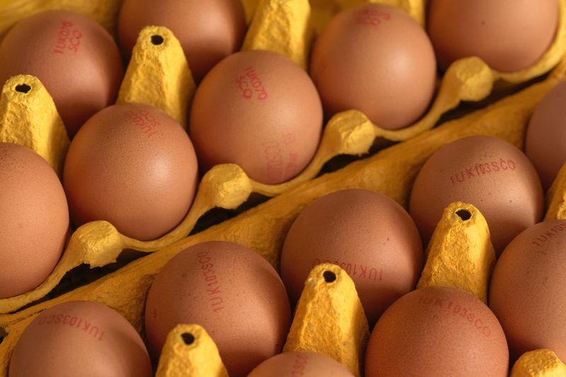 Eggs Are Bad for Your Heart