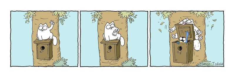 Simon's Cat by Simon Tofield