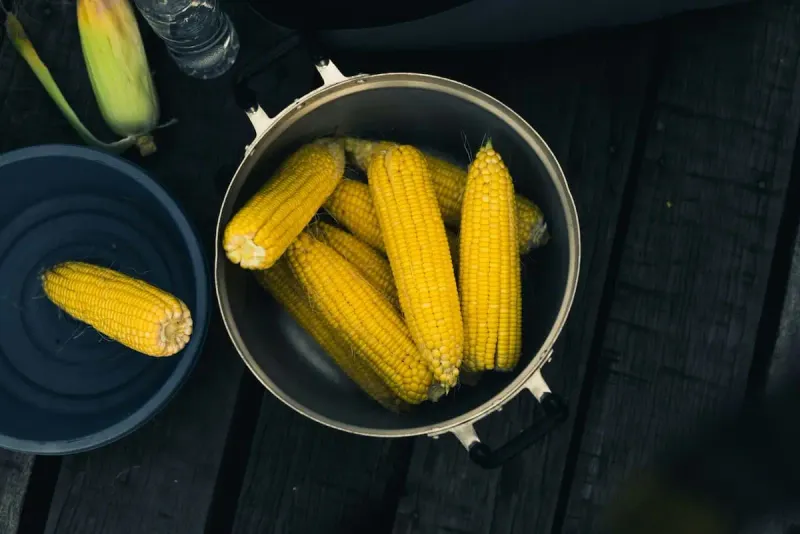 Corn