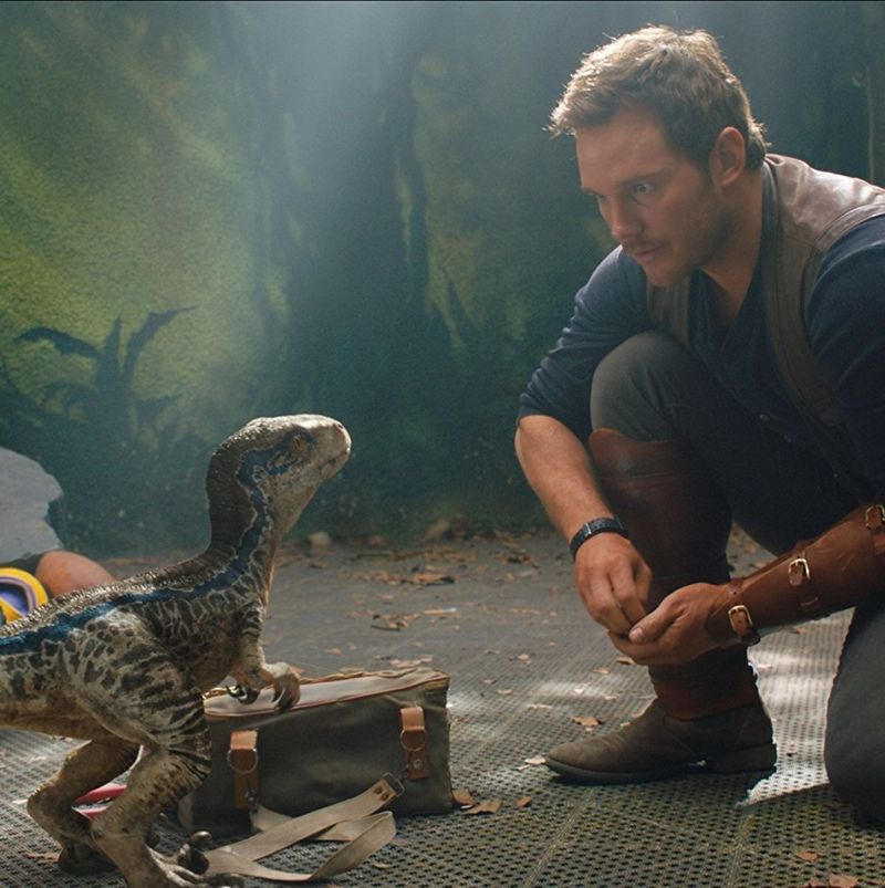 Jurassic World: Fallen Kingdom (2018)