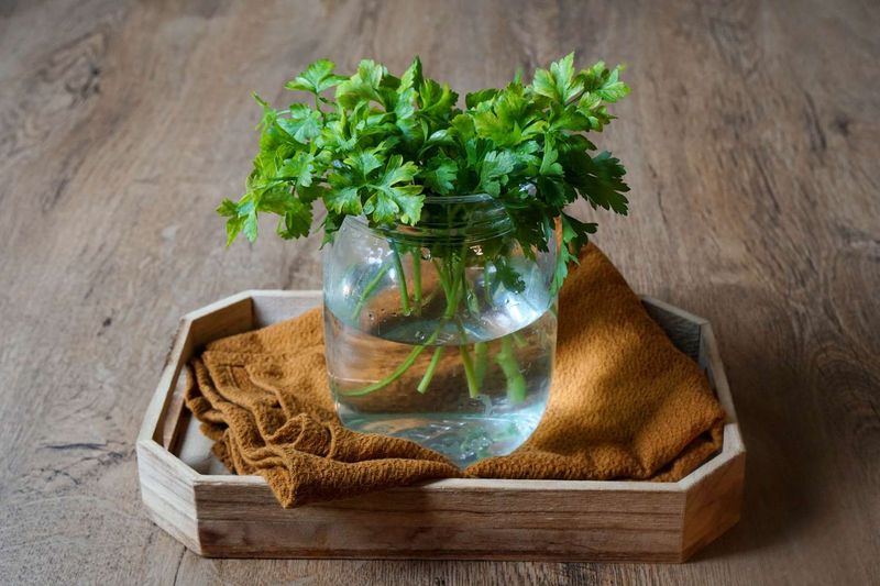 Fresh Herbs