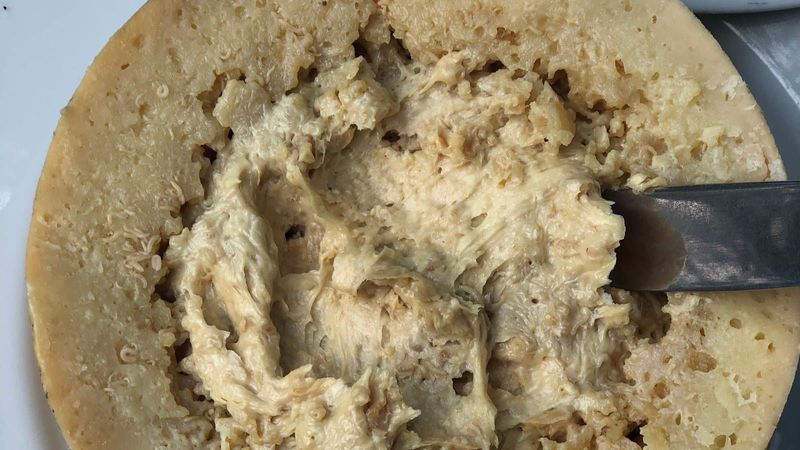 Casu Marzu (Maggot Cheese)