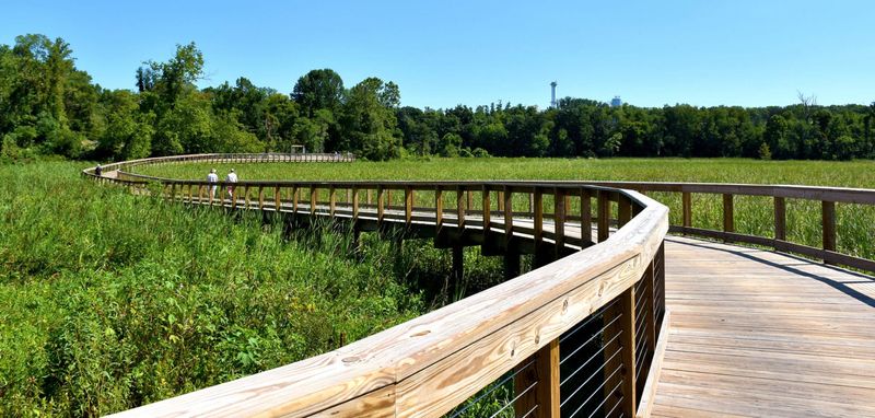 Neabsco Creek Boardwalk Trail, Woodbridge
