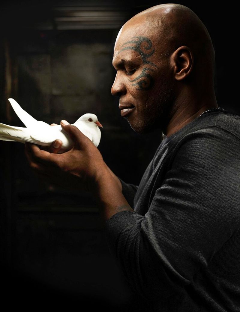 Mike Tyson Raises and Races Pigeons