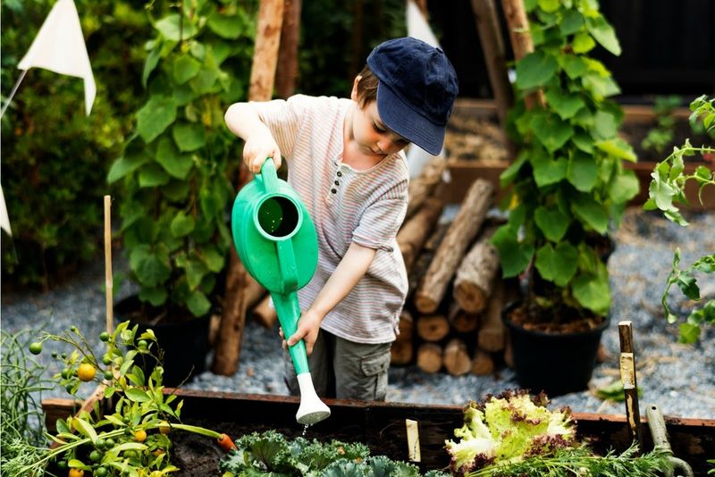 Grow a Mini Garden Together