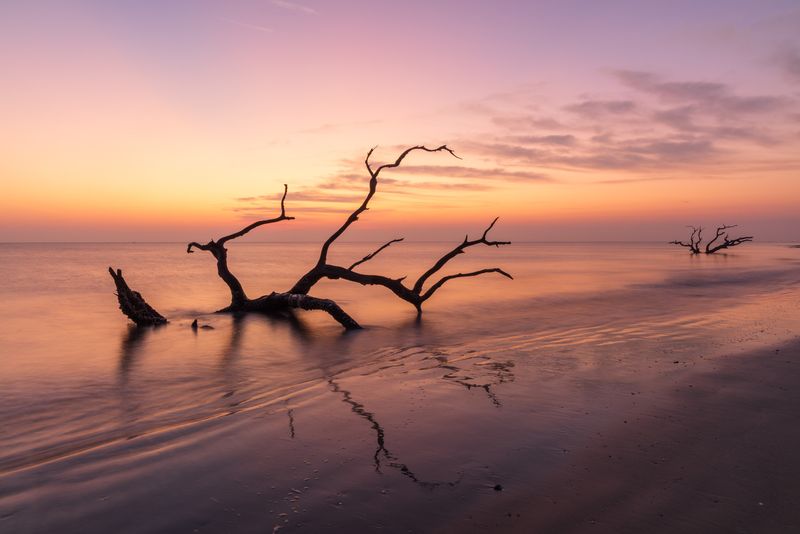 Driftwood Beach, Jekyll Island, Georgia