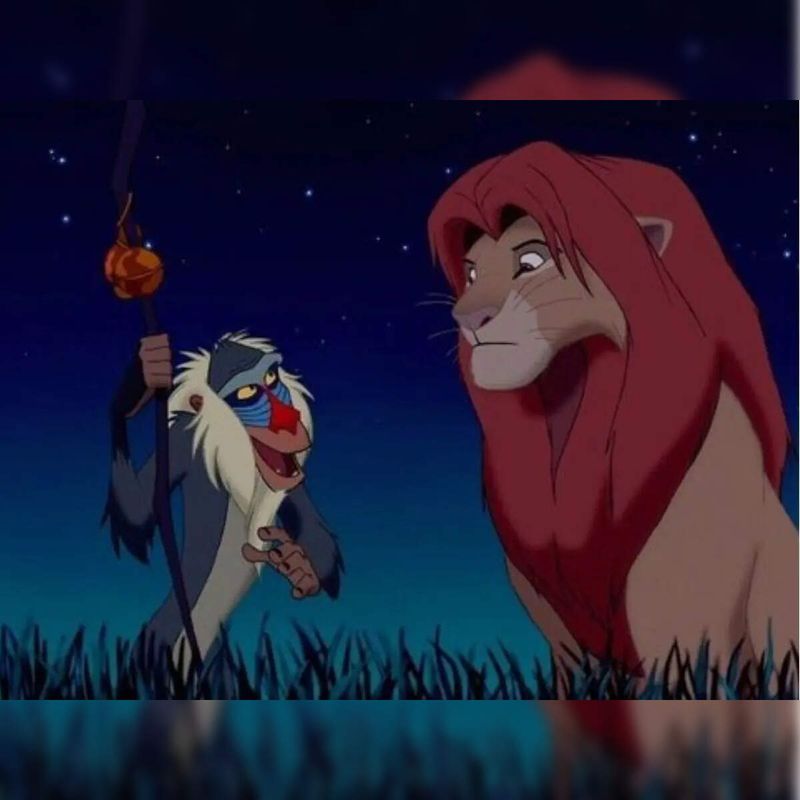 Run From It or Learn From It - Rafiki, The Lion King