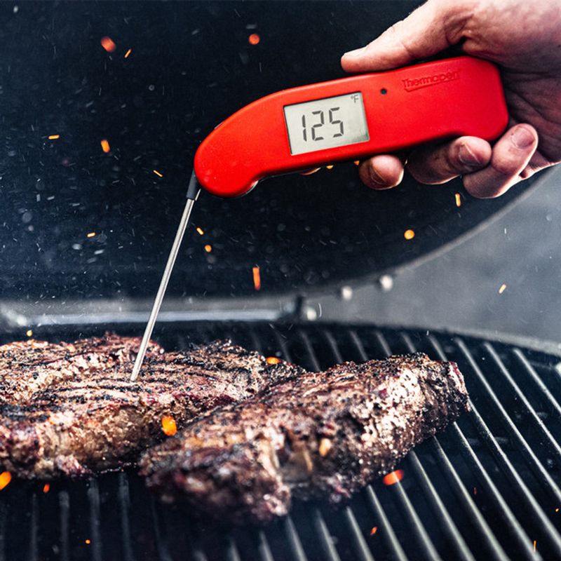 Thermapen ONE Instant-Read Thermometer