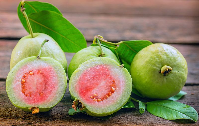 Guava