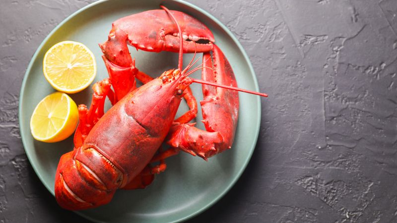 Lobster