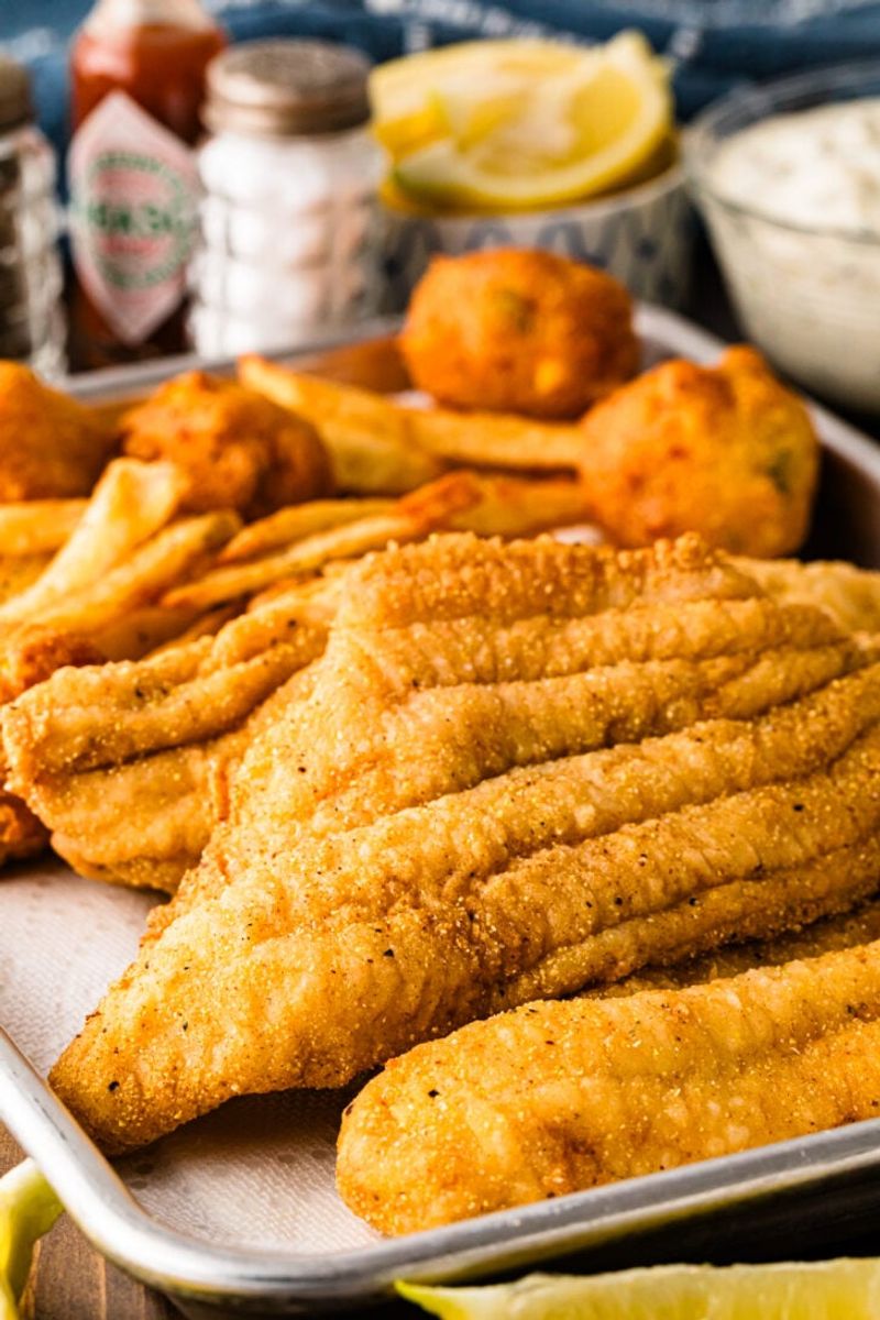 Catfish