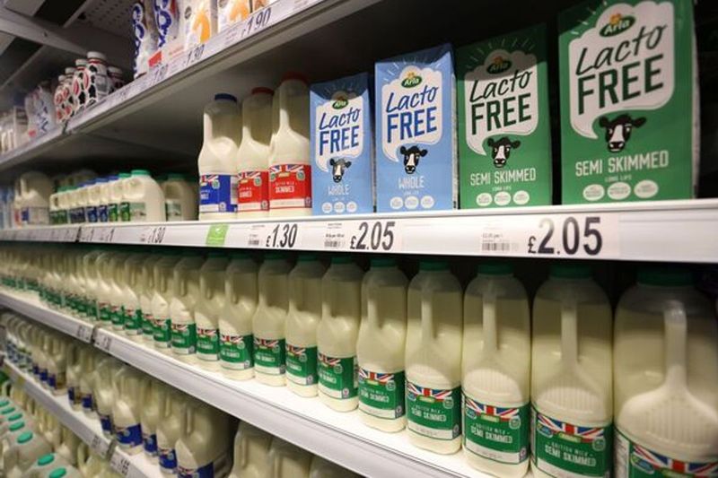 Milk