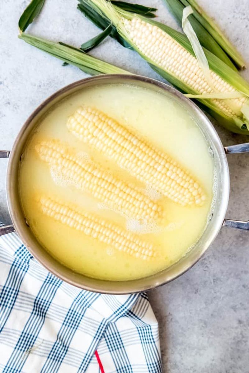 Corn on the Cob Boiled in Salted Water