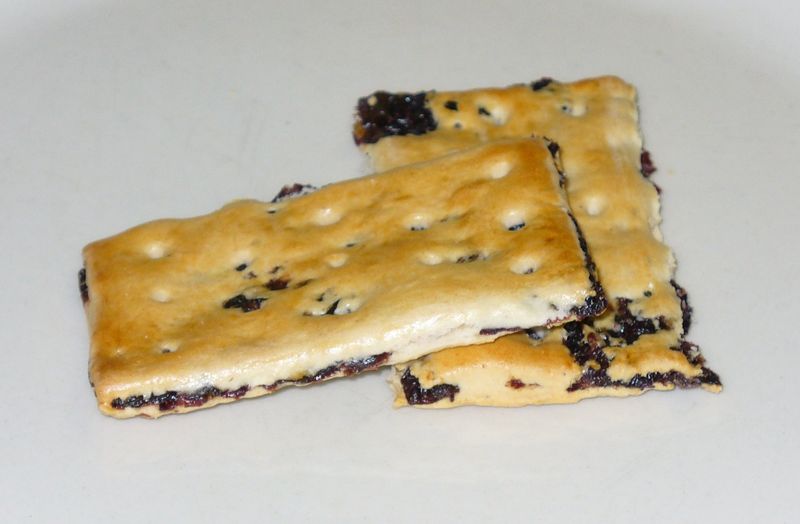 Garibaldi Biscuit