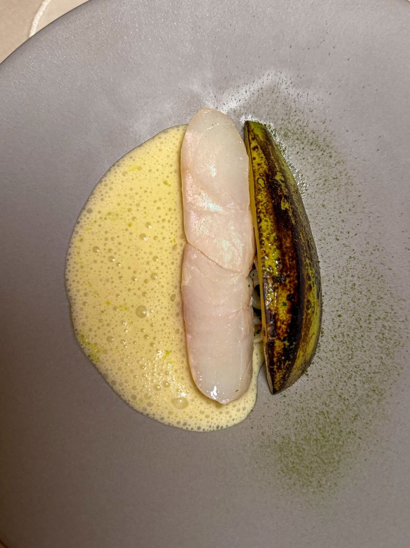 Turbot with Champagne Sauce by Alain Ducasse