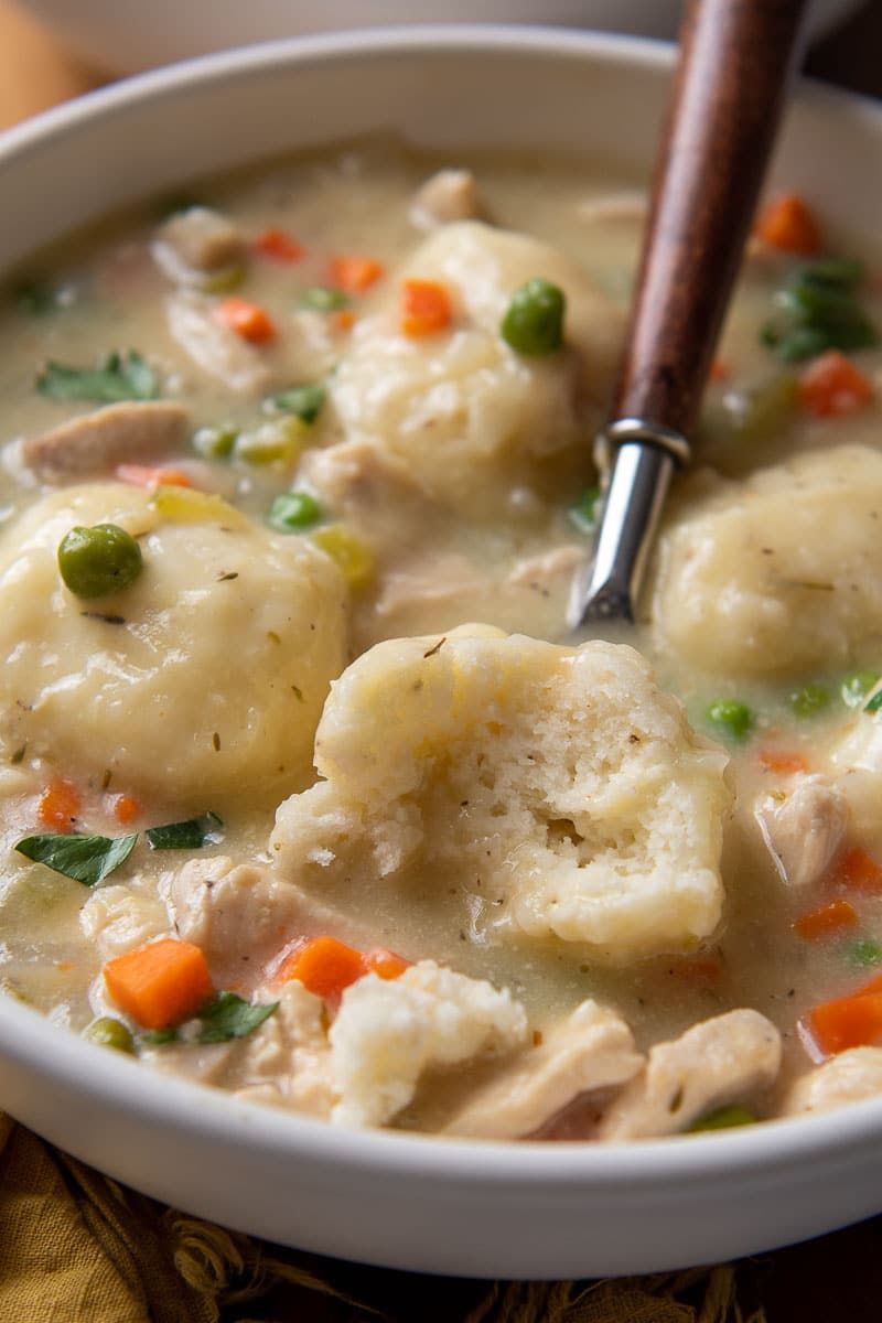 Chicken and Dumpling Stew