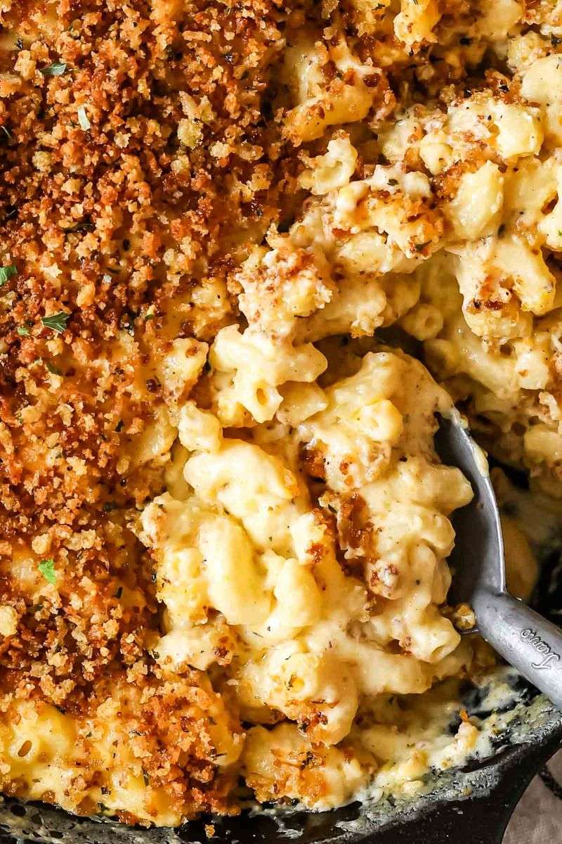 Creamy Macaroni and Cheese