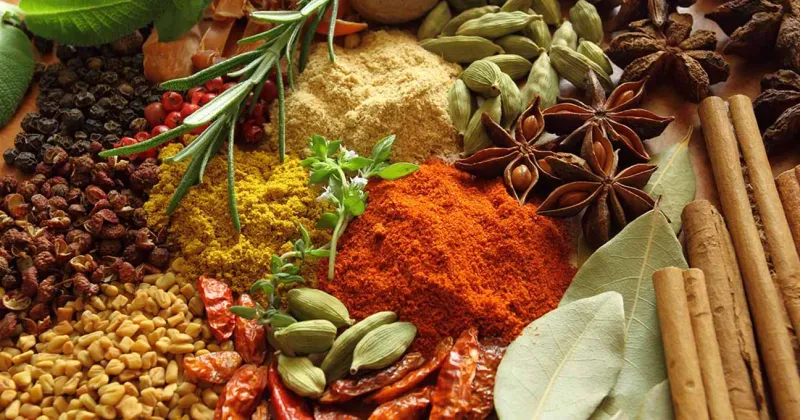 Spices and Condiments