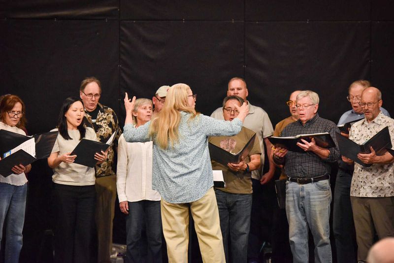 Community Choirs or Singing Groups