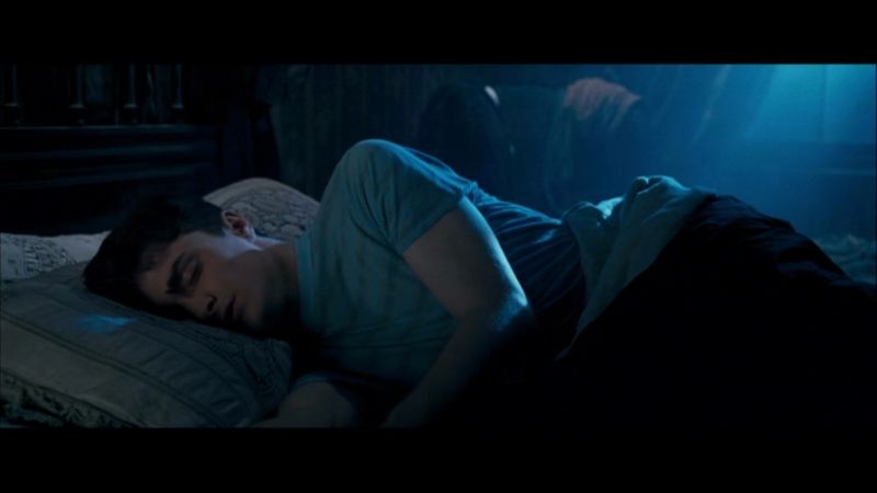 Harry Imagined the Entire Wizarding World