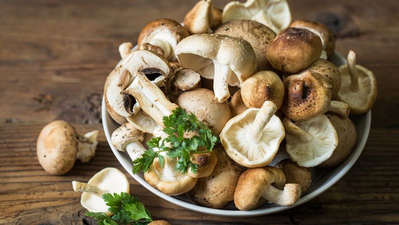 Mushrooms