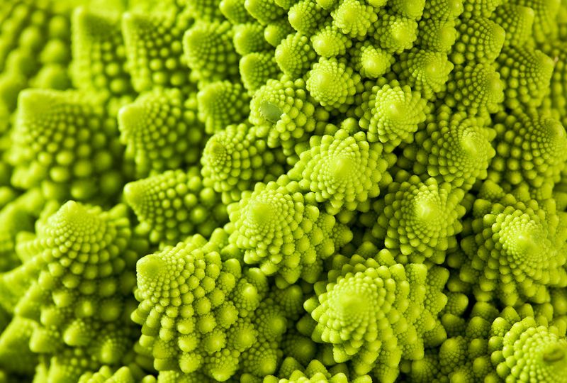 Romanesco Broccoli
