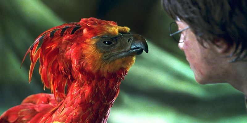 Fawkes Would Fight in the Final Battle Against Voldemort