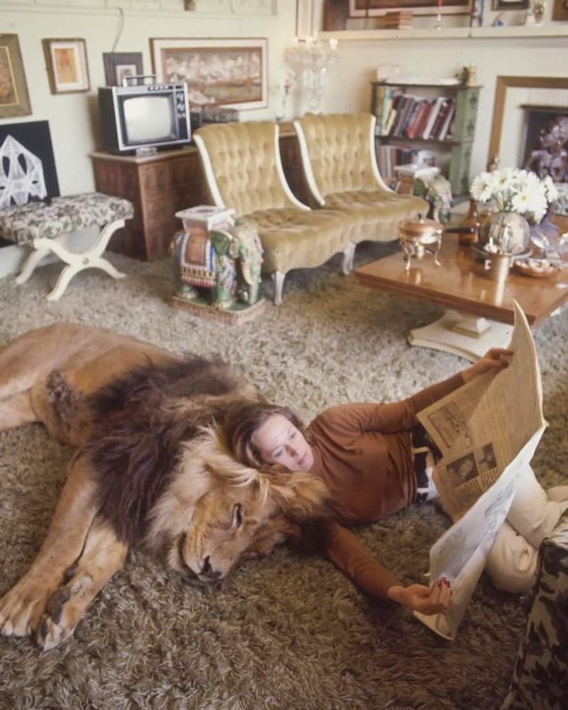 Tippi Hedren's 400-Pound Lion Named Neil