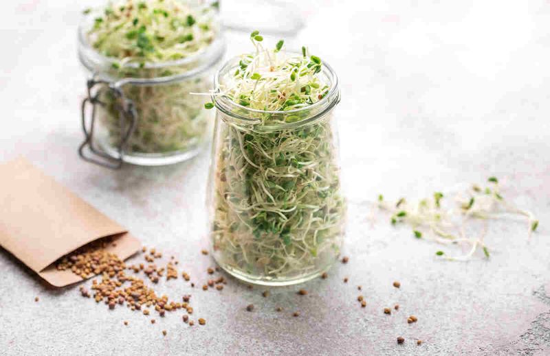 Sprouts