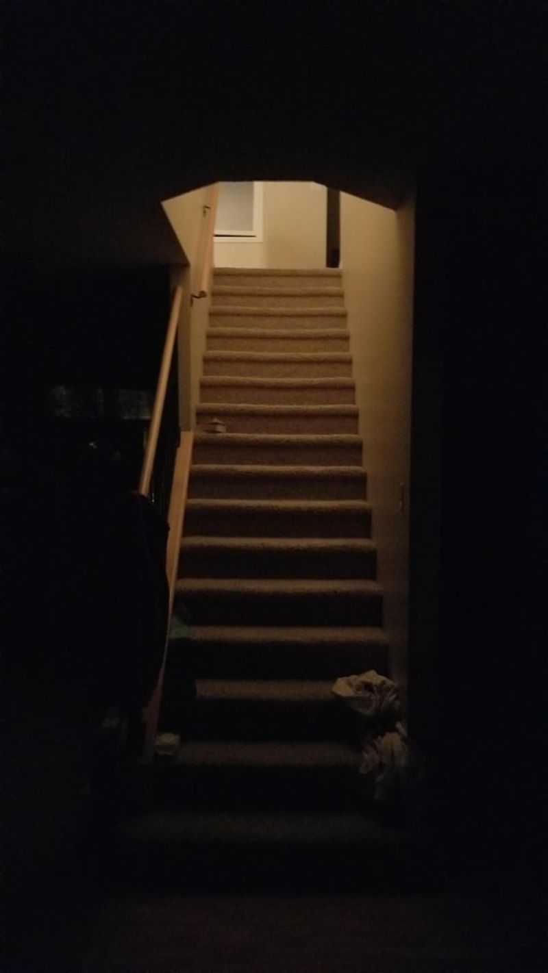 The Basement