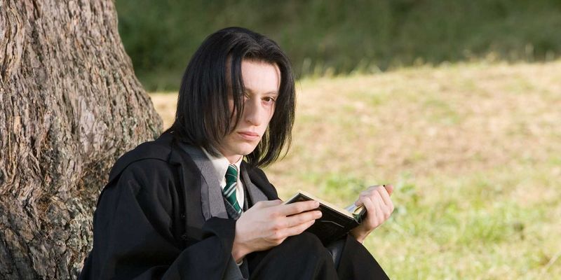 Harry Potter Was the Half-Blood Prince