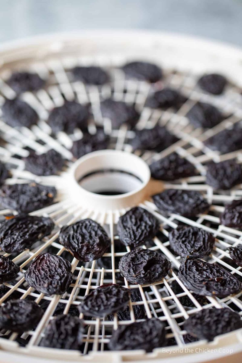 Dry Them Into Homemade Prunes