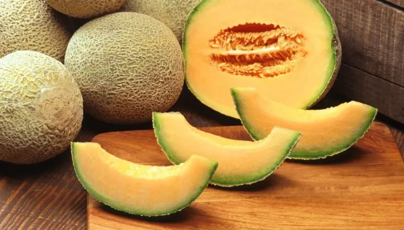 Cantaloupe