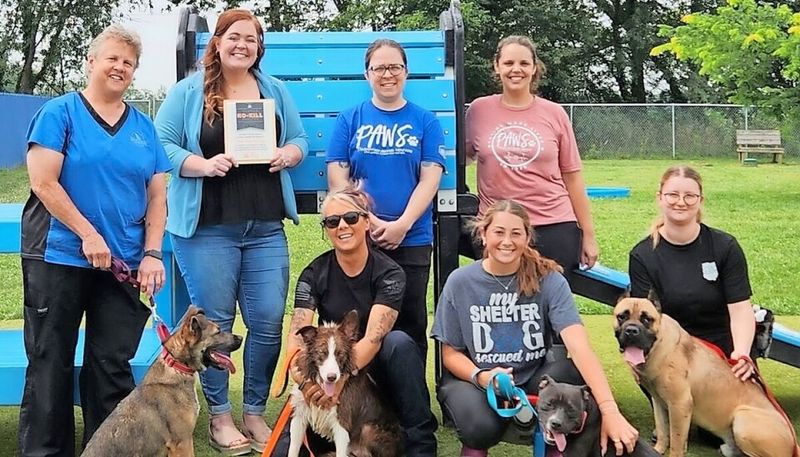 Dog Parks or Animal Shelters