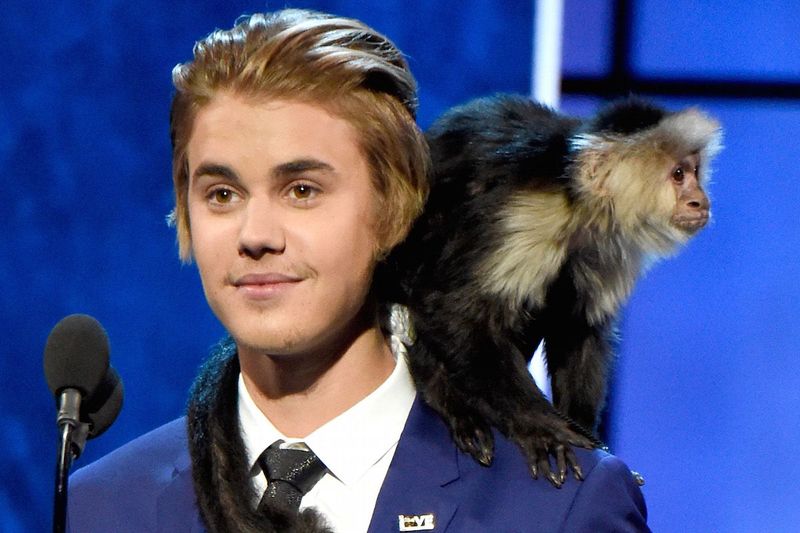 Justin Bieber's Capuchin Monkey OG Mally