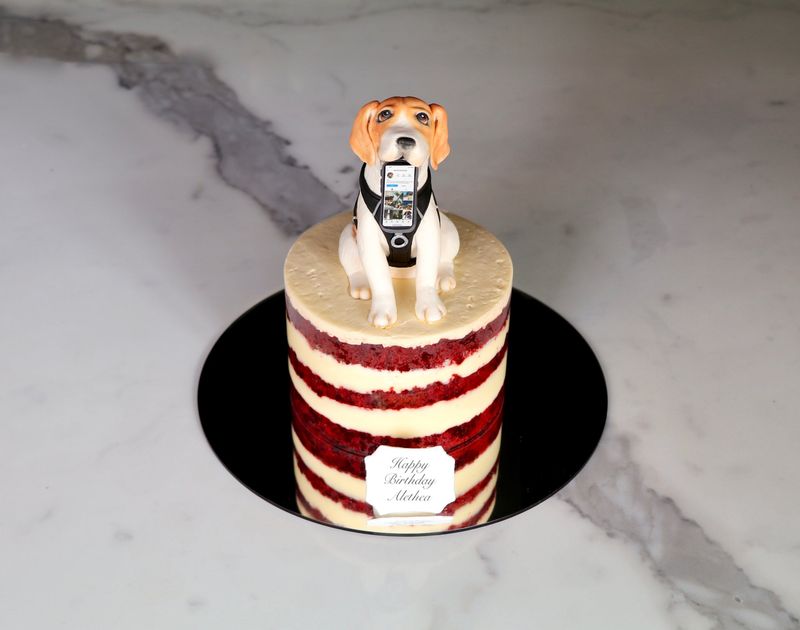 Fondant Sculpted Figurine Cake