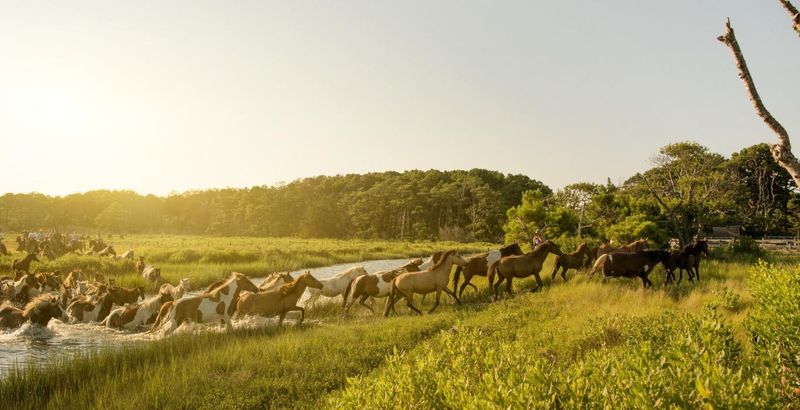Chincoteague Island