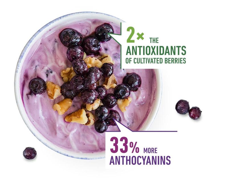 Blueberries