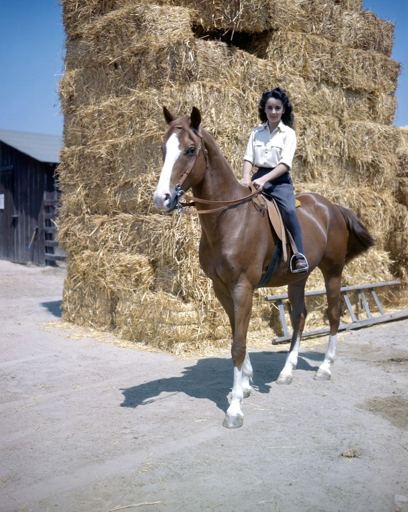 National Velvet (1944)