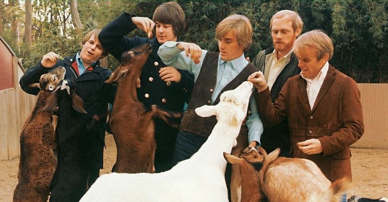 The Beach Boys: More Than Summer Songs