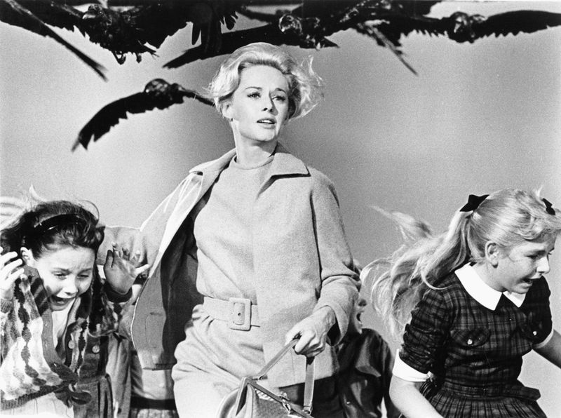 The Birds (1963)