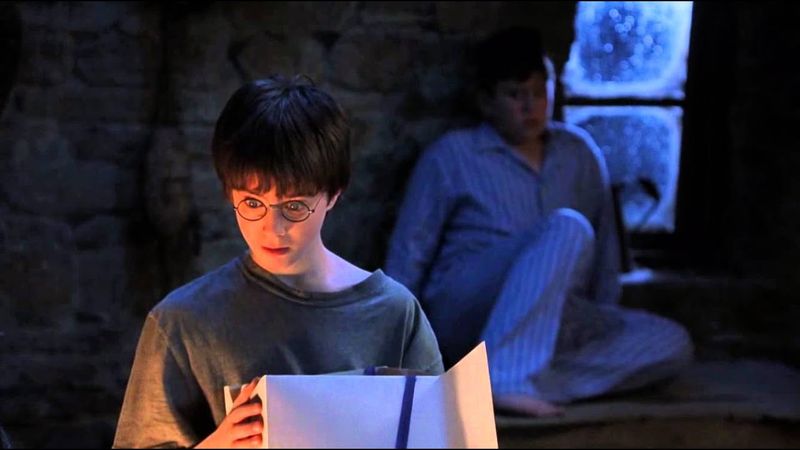 Hagrid Mistook Dudley for Harry in the Film