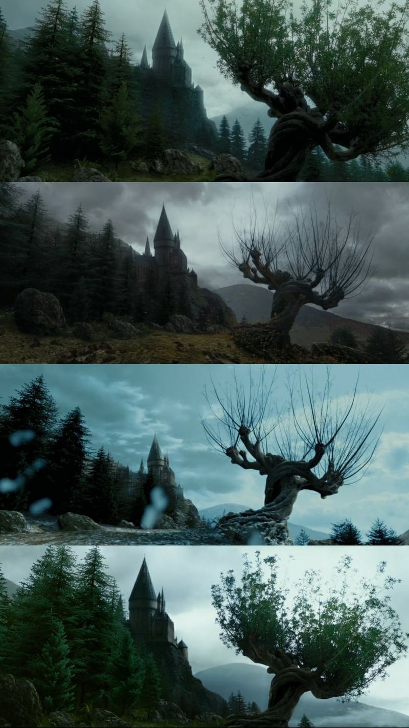 The Whomping Willow Scene Has a Continuity Slip