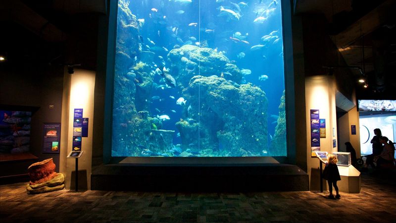 South Carolina Aquarium, Charleston