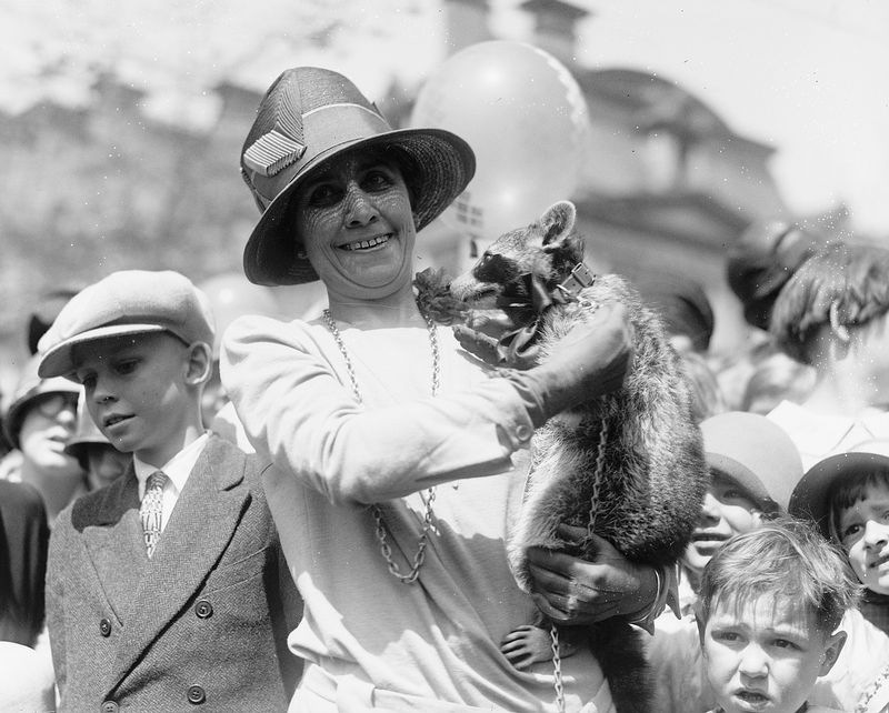 Grace Coolidge's White House Raccoon Rebecca