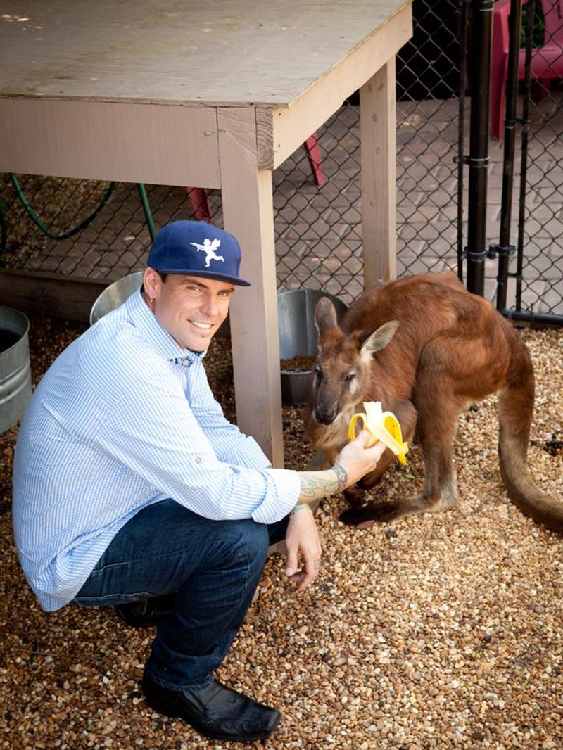 Vanilla Ice's Escaping Wallaroo Bucky
