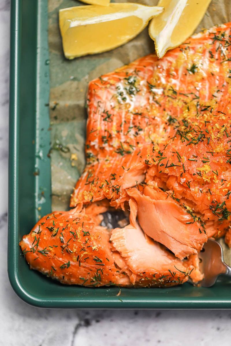 Salmon