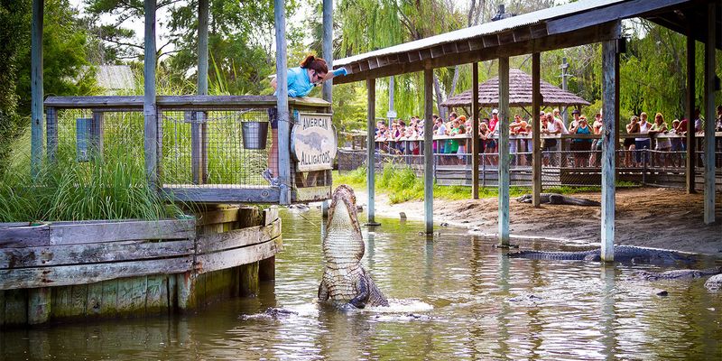 Alligator Adventure, North Myrtle Beach