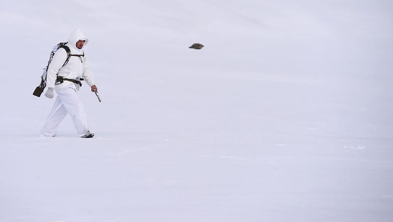 Wind River (2017)