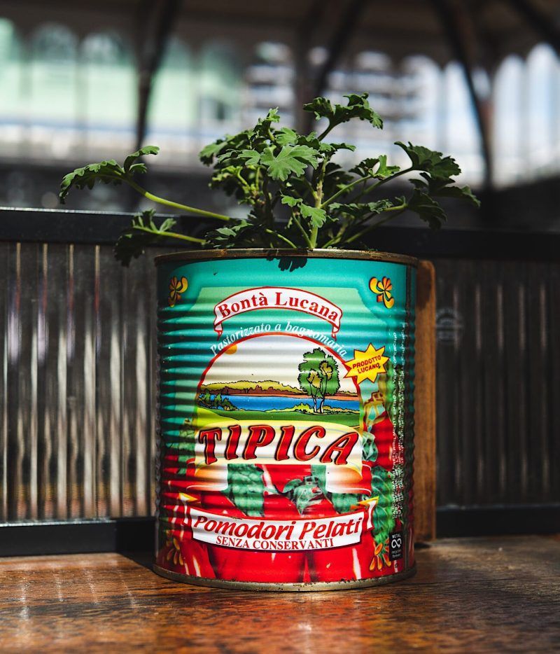 Tinned Tomatoes
